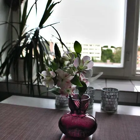 Apartamento Haapaniemenkatu *