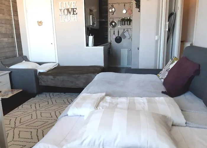 Haapaniemenkatu * 库奥皮奥